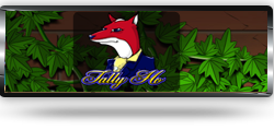 Tally Ho 